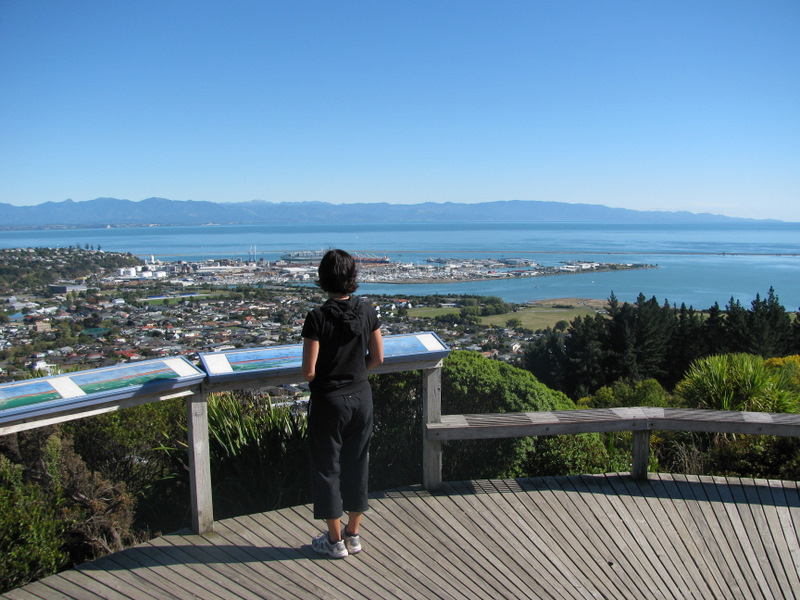 Visit Botanical Hill when staying at our Nelson Motel