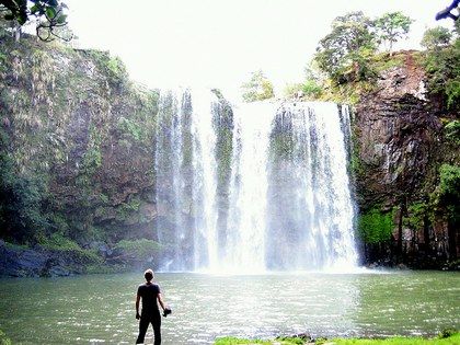 Whangarei Falls