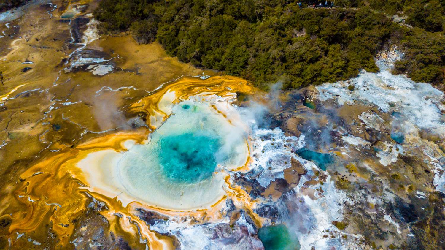 Bella Vista Taupo Orakei Korako