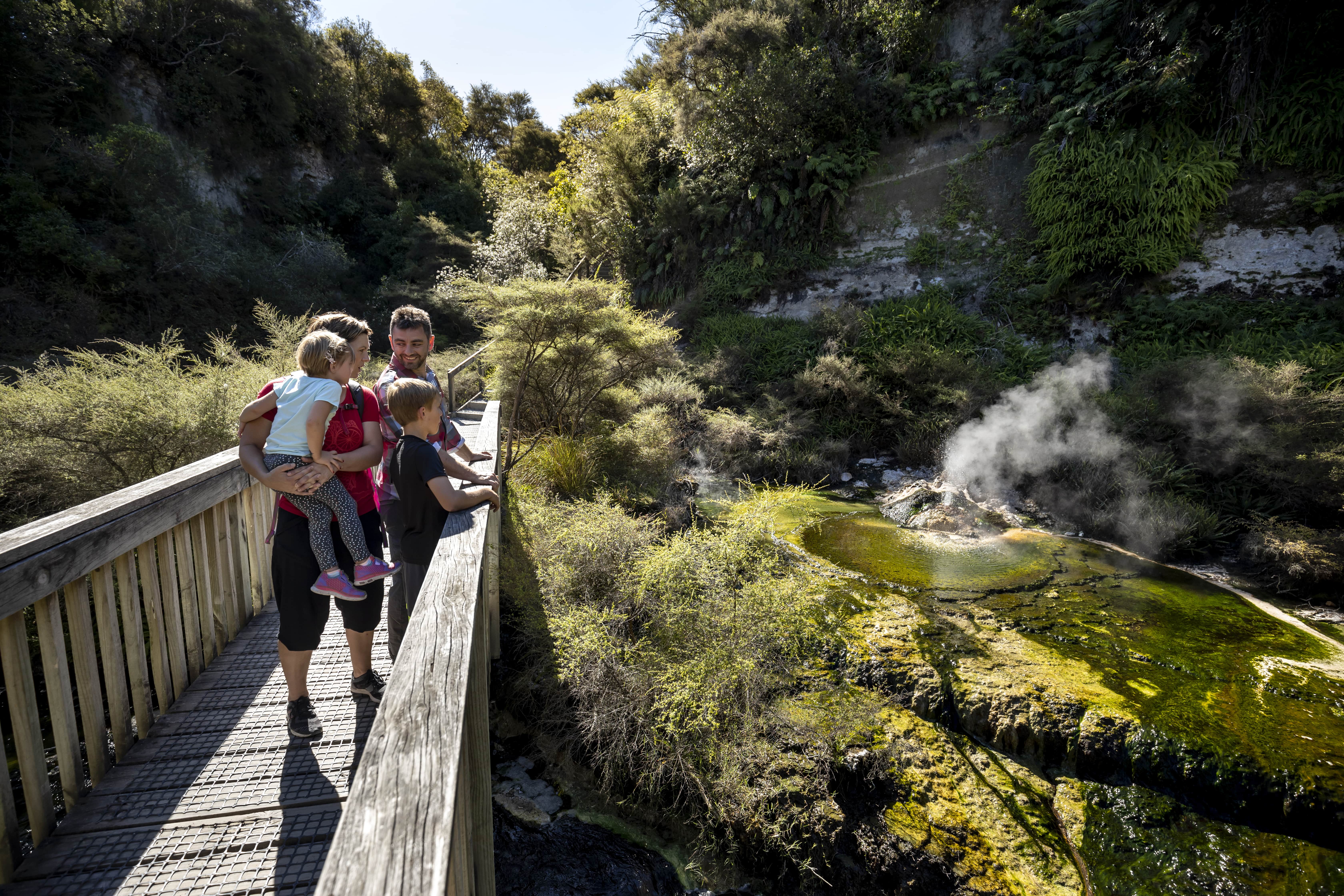 Waimangu Volcanic Valley Bella Vista Taupo